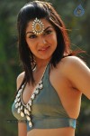 Sakshi Choudary New Hot Stills - 180 of 208