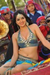 Sakshi Choudary New Hot Stills - 191 of 208