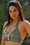 Sakshi Choudary New Hot Stills - 194 of 208