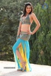 Sakshi Choudary New Hot Stills - 196 of 208