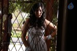 Sakshi Gulati Hot Gallery - 25 of 42
