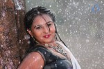 Samvritha Sunil Hot Stills - 10 of 45