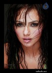 Sana Khan Hot Photos - 21 of 41