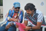 Sandatlo Sademiya Movie Hot Stills - 53 of 85