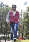 Sandatlo Sademiya Movie Hot Stills - 85 of 85