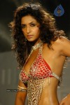 Sandhya Shetty Spicy Stills - 27 of 29