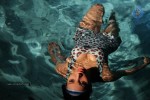 Sarena Movie New Hot Stills - 10 of 100