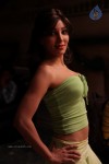Sarena Movie New Hot Stills - 63 of 100