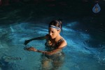 Sarena Movie New Hot Stills - 72 of 100