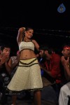 Shankar Oor Rajapalayam Tamil Movie Hot Stills - 28 of 46