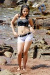 Sheena Latest Spicy Pics - 20 of 35