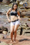 Sheena Latest Spicy Pics - 20 of 35