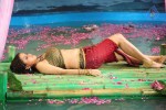 Sheena Shahabadi Hot Photos - 2 of 137