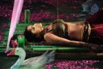 Sheena Shahabadi Hot Photos - 45 of 137