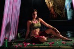 Sheena Shahabadi Hot Photos - 57 of 137