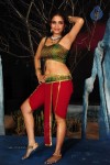 Sheena Shahabadi Hot Photos - 121 of 137