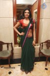 Sherlyn Chopra Hot Stills - 27 of 30