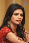 Sherlyn Chopra Hot Stills - 34 of 30