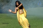 Sheryl Pinto Hot Stills - 13 of 63