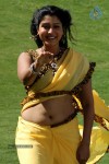 Sheryl Pinto Hot Stills - 31 of 63