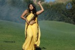 Sheryl Pinto Hot Stills - 53 of 63