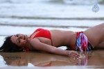 Shilpi Sharma Hot Bikini Pics - 8 of 9