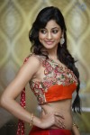 Shilpi Sharma Hot Photos - 12 of 65