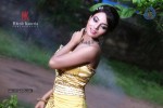 Shilpi Shukla Hot Photo Shoot - 35 of 31