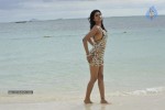 Shraddha Das Hot Photos - 61 of 90