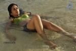 Shraddha Das Spicy Gallery - 38 of 63