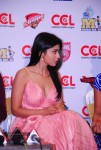 Shriya Hot Photos - 11 of 36