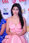 Shriya Hot Photos - 38 of 36