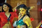 Shweta Bhardwaj Item Song Photos - 6 of 72