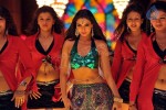 Shweta Bhardwaj Item Song Photos - 43 of 72