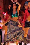 Shweta Bhardwaj Item Song Photos - 61 of 72