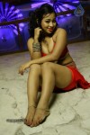 Sneha Spicy Gallery - 83 of 126