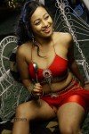 Sneha Spicy Gallery - 84 of 126