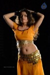 Sneha Ullal Hot Photos - 4 of 50