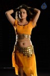 Sneha Ullal Hot Photos - 8 of 50