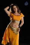 Sneha Ullal Hot Photos - 15 of 50