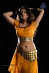 Sneha Ullal Hot Photos - 16 of 50