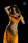 Sneha Ullal Hot Photos - 17 of 50