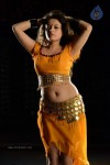 Sneha Ullal Hot Photos - 19 of 50