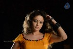 Sneha Ullal Hot Photos - 44 of 50