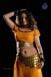 Sneha Ullal Hot Photos - 48 of 50