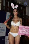 Sofia Hayat Special Photo Shoot - 24 of 59