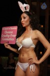 Sofia Hayat Special Photo Shoot - 26 of 59