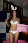 Sofia Hayat Special Photo Shoot - 27 of 59
