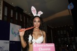 Sofia Hayat Special Photo Shoot - 39 of 59