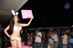 Sofia Hayat Special Photo Shoot - 45 of 59